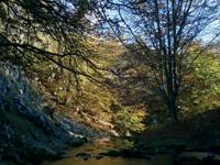 Sarria
