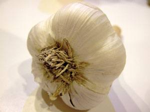 Baratxuria, Allium sativum, primerakoa duzu zorriak uxatzeko, besteak beste.