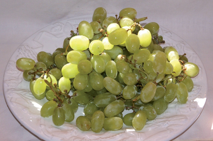 Vitis vinifera Sultanina aldaeraren mahatsa, egun ekoizten den mahaspasaren %95en jatorria.
