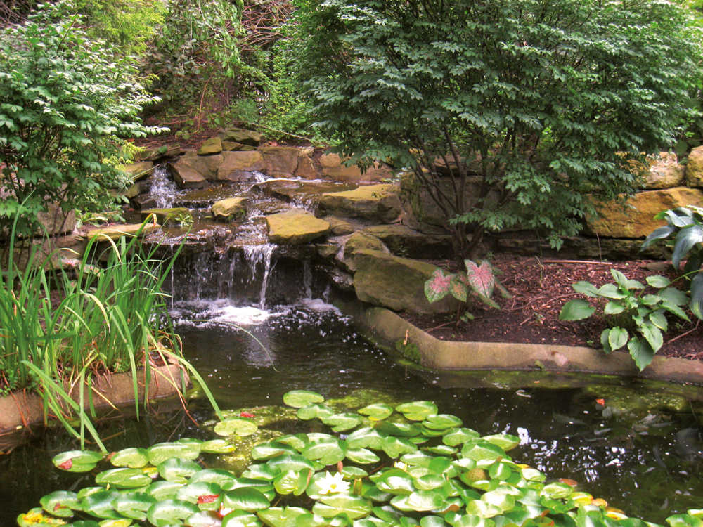 Rodef Shalom Biblical Botanical Garden, Pennsylvanian (AEB). (Arg.: Daderot)