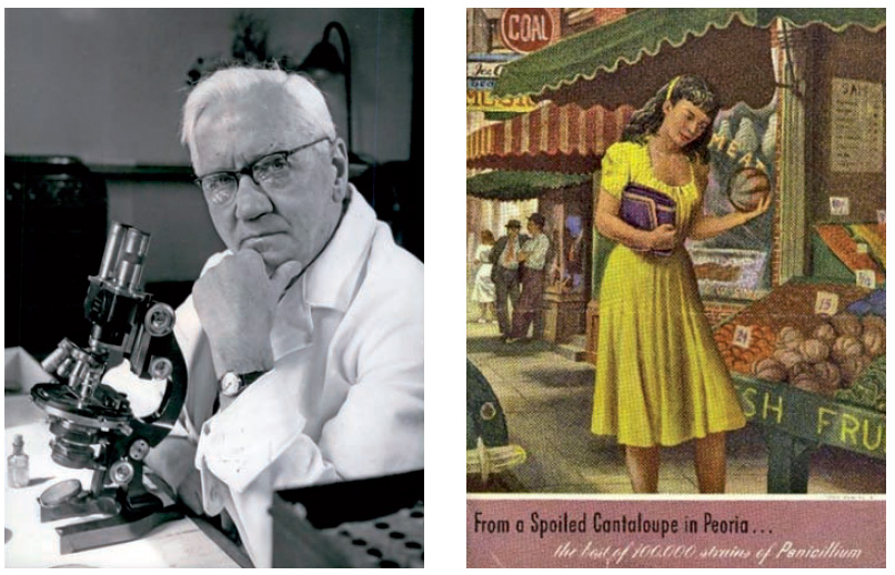 Ezkerrean, Alexander Fleming (1881-1955), penizilina aurkitu zuen zientzialaria. Eskuinean, Mary Hunt, penizilina masan ekoiztea eta merkaturatzea ahalbidetu zuen laborategiko laguntzailea. Flemingek
Nobel saria jaso zuen, besteak beste; Huntek goitizen 