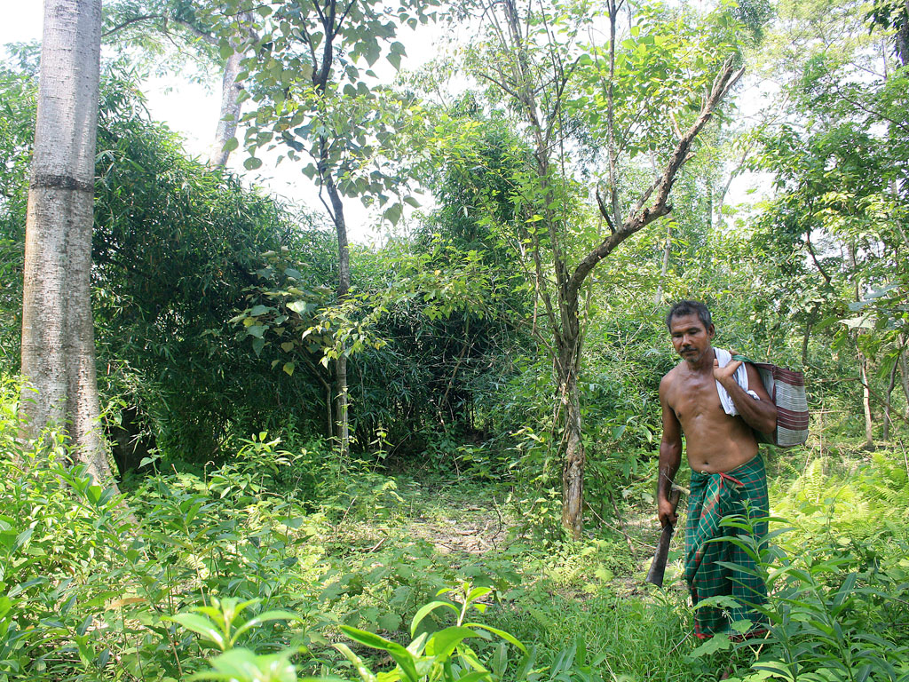 Forest Man’ dokumentaletik ateratako fotograman, Jadav ‘Molai’ Payeng bere eskuz bizi osoan zehar landatu eta zaindutako basoa erakusten atzerritarrei. Assam estatuko etnietako bat osatzen duten Mising jendea Brahmaputra ibai bazterretan bizi da, ibaiak e