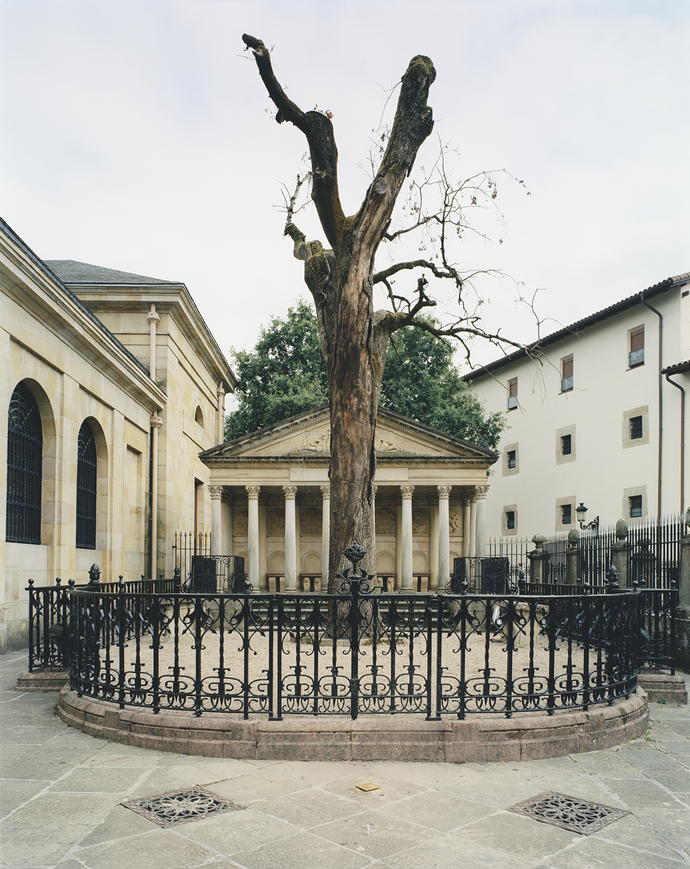 Dead tree. Gernika 2004 (2004). C Print. 125 x 175 cm.