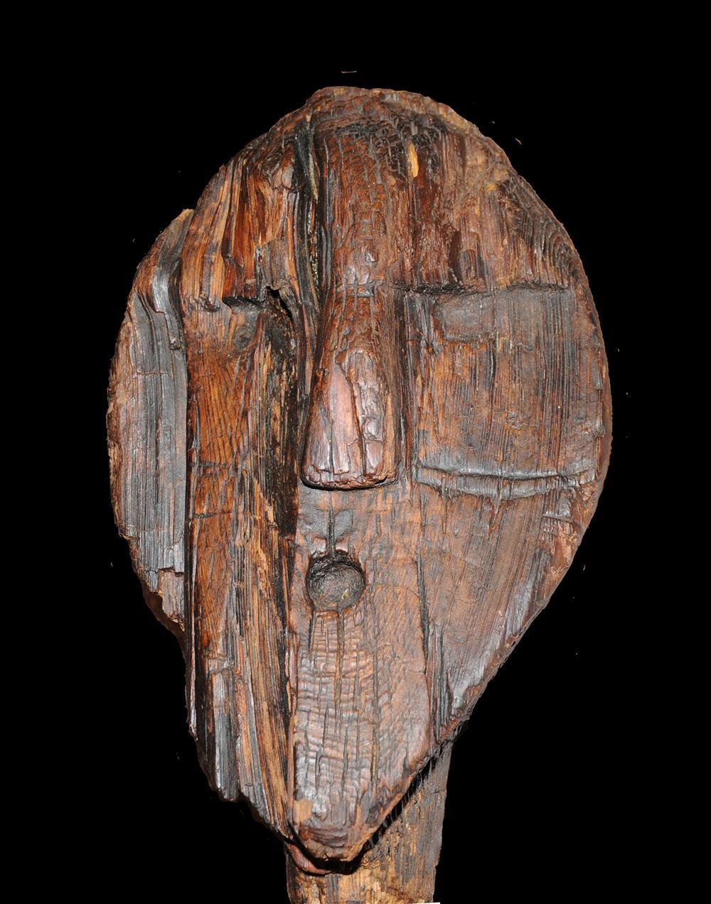 (argazkia: Thomas Terberger)