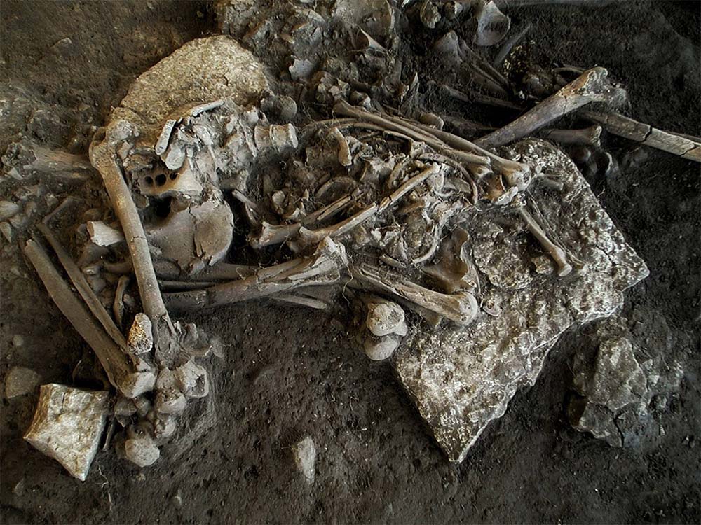 Suedian aurkitutako 5.000 urte inguruko eskeletoa, giza pandemien frogarik zaharrena (arg: Karl-Goran Sjorgen)