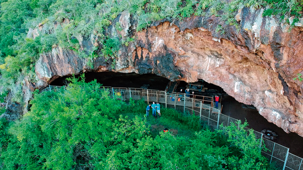 Hego Afrikako Border Caven kobazuloaren sarrera (arg.: A. Kruger)