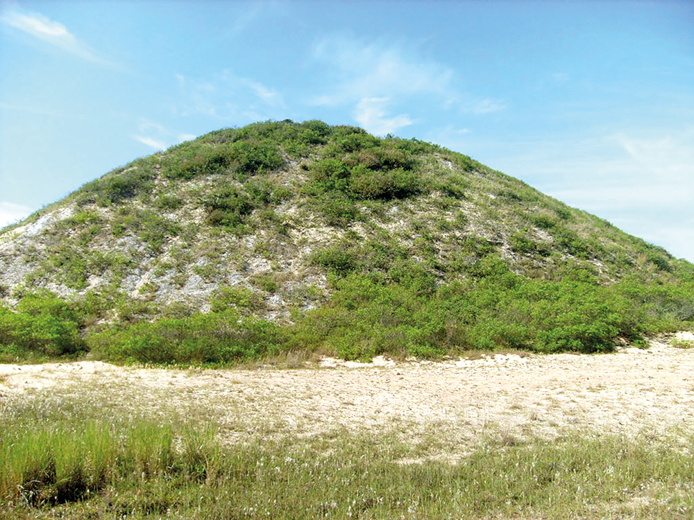 Figueirinha I sambaqui edo maskortegia, Brasilgo kostaldean. (Argazkia: Thugruner)