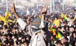 Newroz da gaur