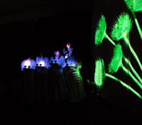 Carmina Burana obra.