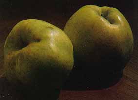 txalaka.JPG (4656 bytes)